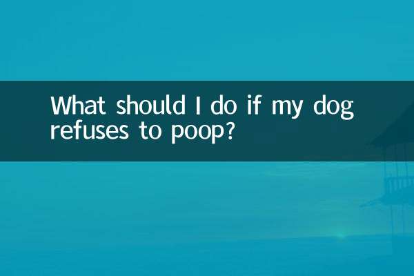 Que dois-je faire si mon chien refuse de faire caca ?