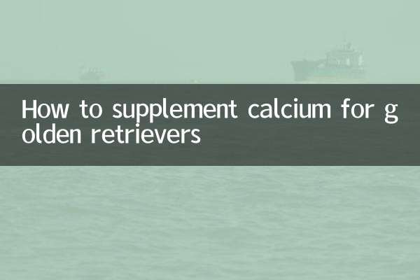 كيفية تكملة الكالسيوم لجولدن ريتريفر