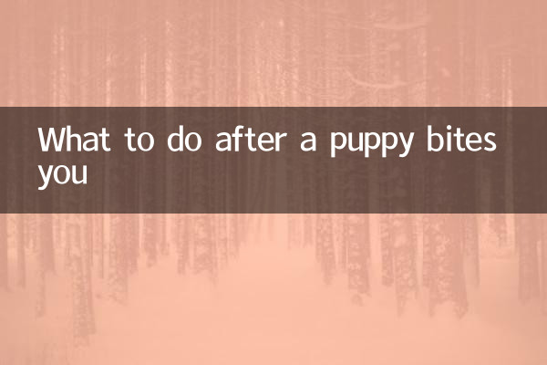 What to do after a puppy bites you