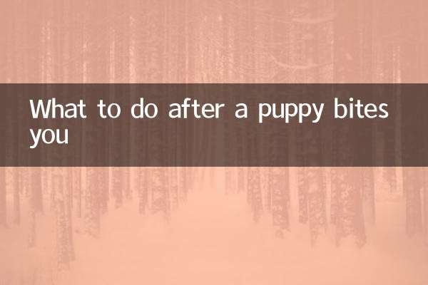 What to do after a puppy bites you