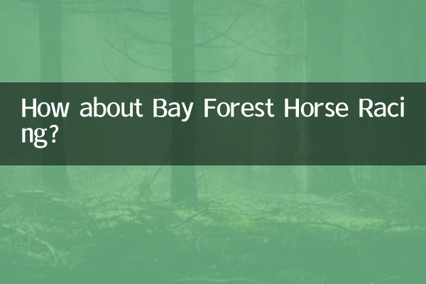 베이 포레스트 경마는 어떻습니까?
