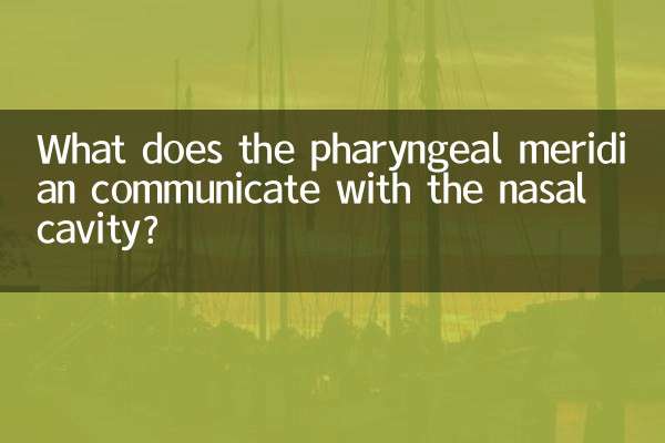 ग्रसनी मेरिडियन नासिका गुहा के साथ क्या संचार करती है?