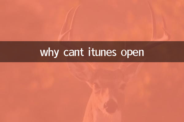 কেন আইটিউন খুলতে পারে না