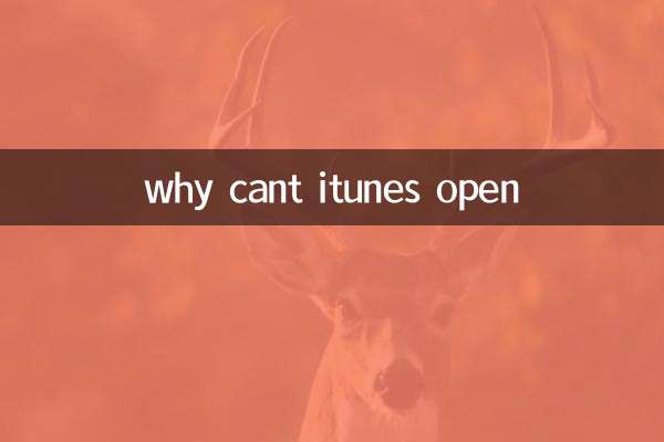 কেন আইটিউন খুলতে পারে না