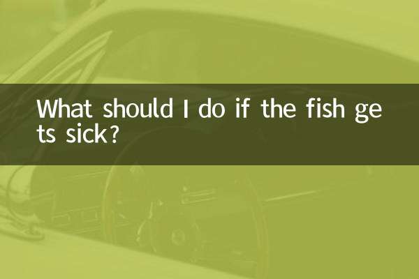 What should I do if the fish gets sick?