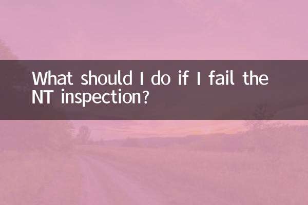 यदि मैं एनटी निरीक्षण में असफल हो जाता हूँ तो मुझे क्या करना चाहिए?