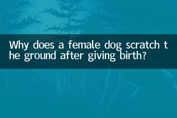 मादा कुत्ता बच्चे को जन्म देने के बाद जमीन क्यों खरोंचती है?