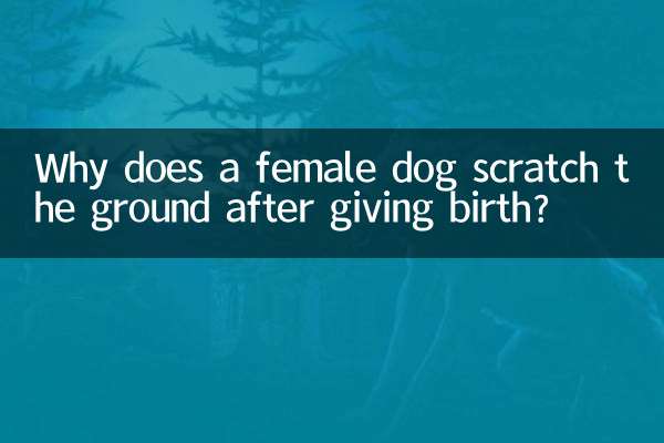 কেন একটি মহিলা কুকুর সন্তান জন্ম দেওয়ার পরে মাটি আঁচড়ায়?