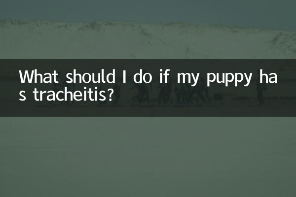 Что делать, если у моего щенка трахеит?