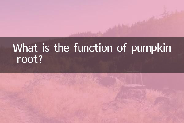 ما هي وظيفة جذر اليقطين؟