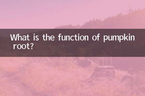 ما هي وظيفة جذر اليقطين؟