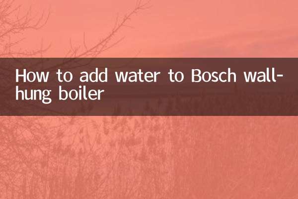 بوش وال ہنگ بوائلر میں پانی کیسے شامل کریں