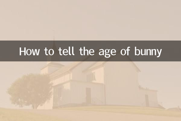 খরগোশের বয়স কিভাবে বলবেন
