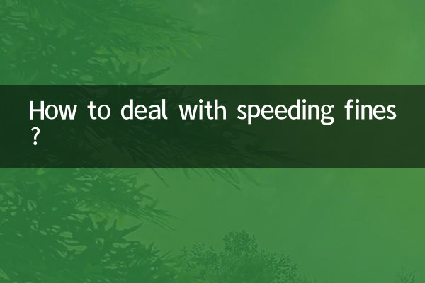 超速罚款怎么处理吗