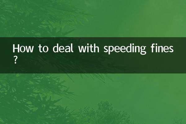 超速罚款怎么处理吗