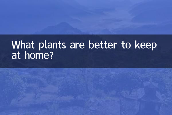 ¿Qué plantas es mejor tener en casa?