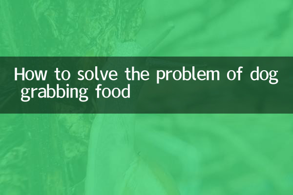 How to solve the problem of dog grabbing food