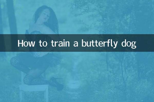 Come addestrare un cane farfalla