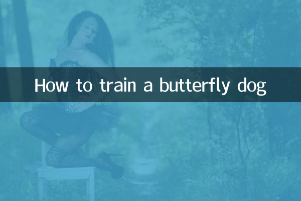 Come addestrare un cane farfalla