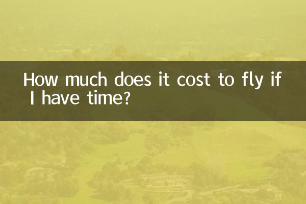시간이 있다면 비행기를 타는 데 비용이 얼마나 드나요?