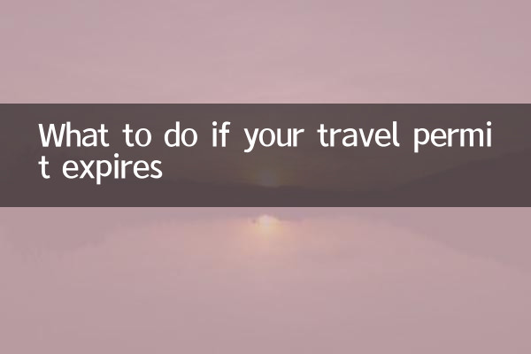 Что делать, если срок действия вашего разрешения на поездку истек