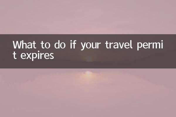 اگر مجوز سفر شما منقضی شود چه باید کرد؟