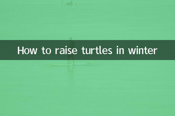 কিভাবে শীতকালে কচ্ছপ বড় করতে হয়