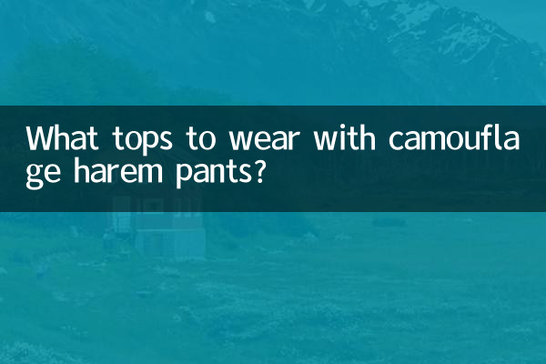 迷彩ハーレムパンツにはどんなトップスを合わせますか？