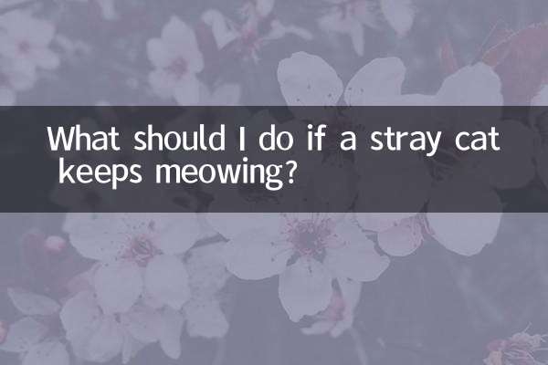 अगर कोई आवारा बिल्ली म्याऊं-म्याऊं करती रहे तो मुझे क्या करना चाहिए?