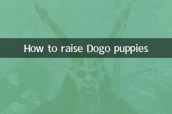 কিভাবে Dogo কুকুরছানা বাড়াতে