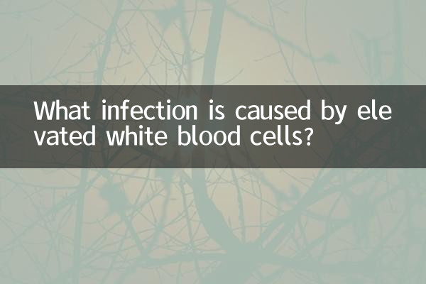 উন্নত শ্বেত রক্ত কণিকার কারণে কোন সংক্রমণ হয়?