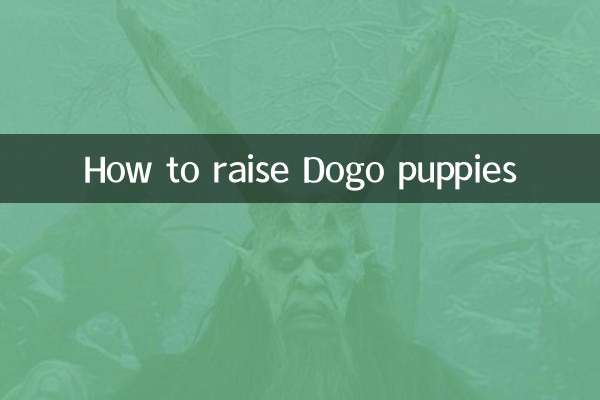 কিভাবে Dogo কুকুরছানা বাড়াতে