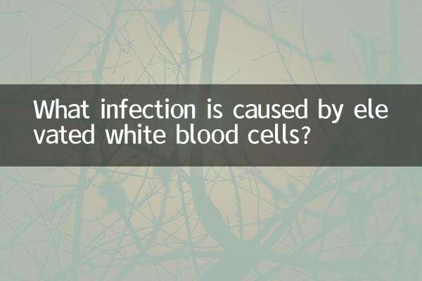 উন্নত শ্বেত রক্ত কণিকার কারণে কোন সংক্রমণ হয়?