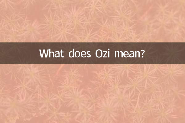 What does Ozi mean?
