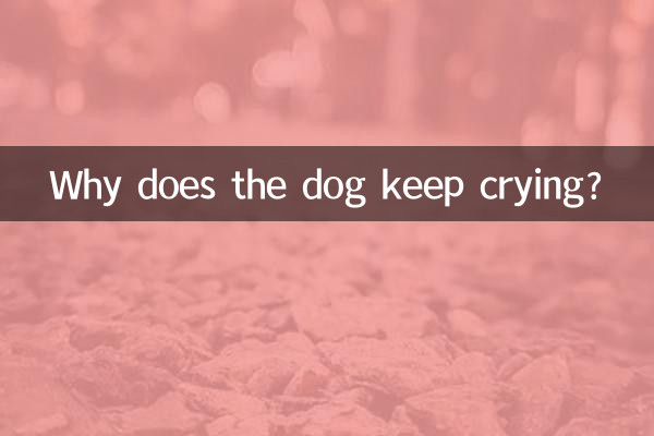 Why does the dog keep crying?