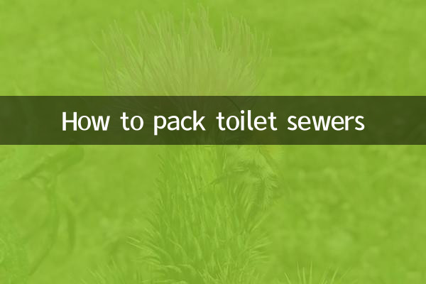 화장실 하수구를 포장하는 방법