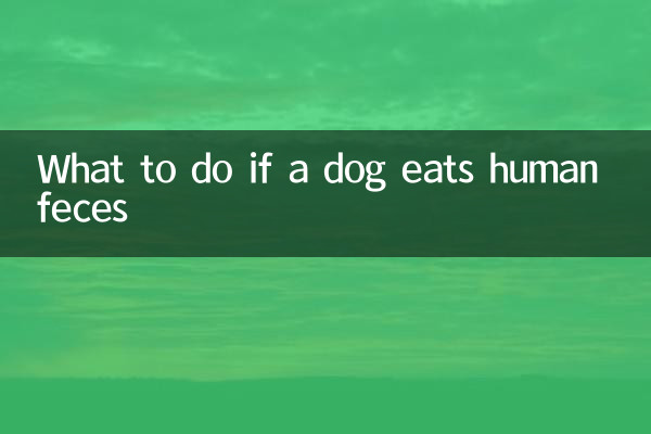 अगर कुत्ता इंसान का मल खा ले तो क्या करें?