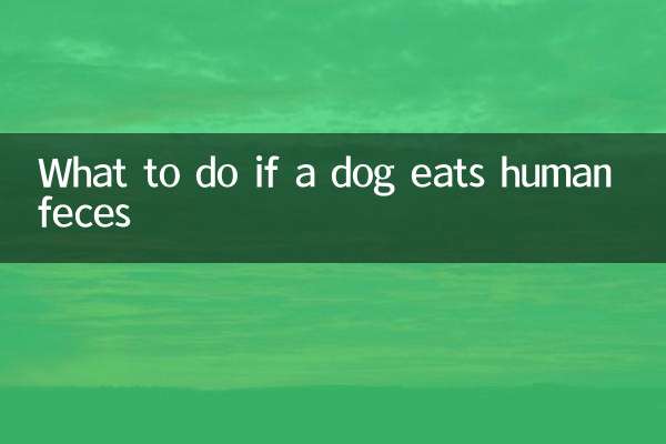 अगर कुत्ता इंसान का मल खा ले तो क्या करें?
