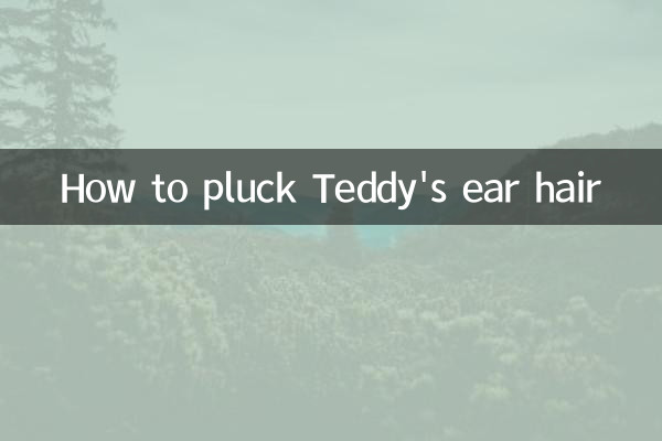 テディの耳毛の抜き方