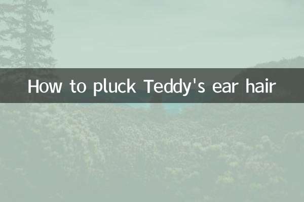 テディの耳毛の抜き方
