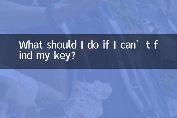 ماذا علي أن أفعل إذا لم أتمكن من العثور على مفتاحي؟