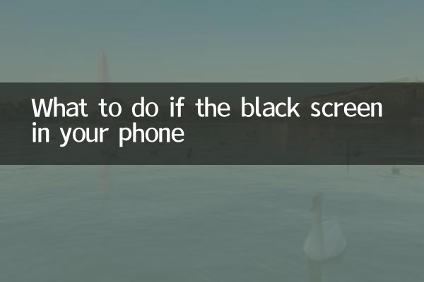 What to do if the black screen in your phone