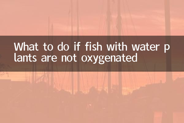 Was tun, wenn Fische mit Wasseranlagen nicht sauerstoffhaltig sind