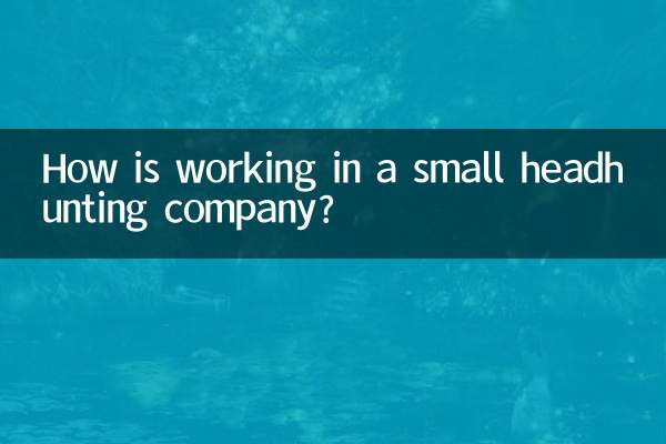 小さなヘッドハンティング会社で働くのはどうですか？