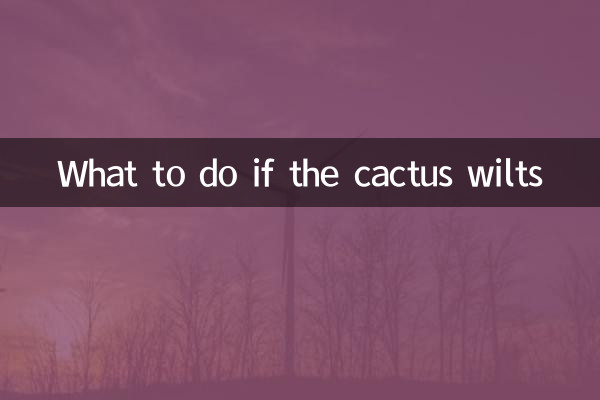 Que faire si le cactus se flétrit