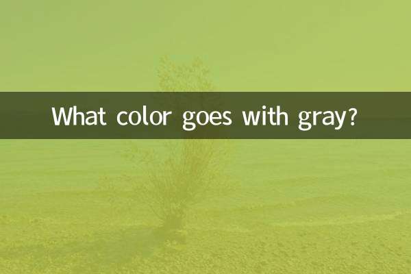 What color goes with gray?