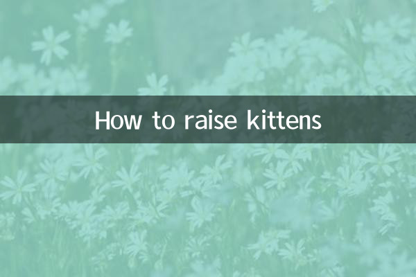 Como criar gatinhos