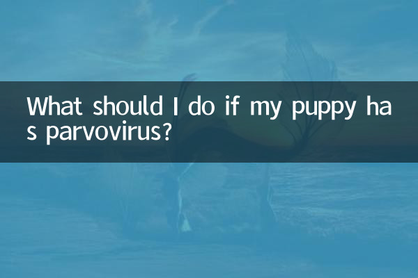 Cosa devo fare se il mio cucciolo ha il parvovirus?