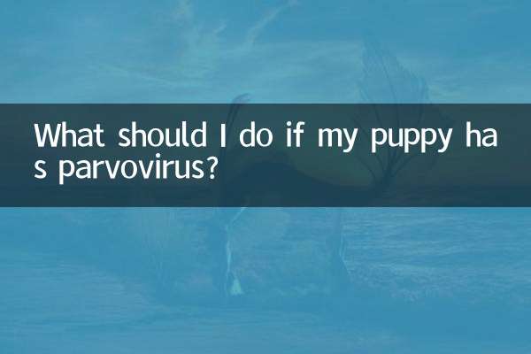 Cosa devo fare se il mio cucciolo ha il parvovirus?