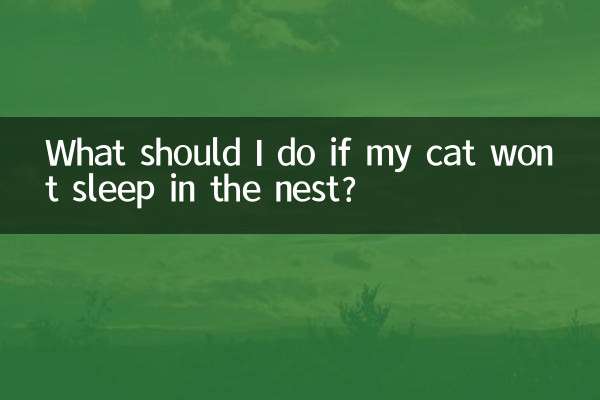 Что делать, если моя кошка не хочет спать в гнезде?